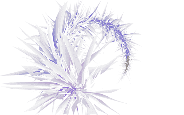 CLYD generative drawing