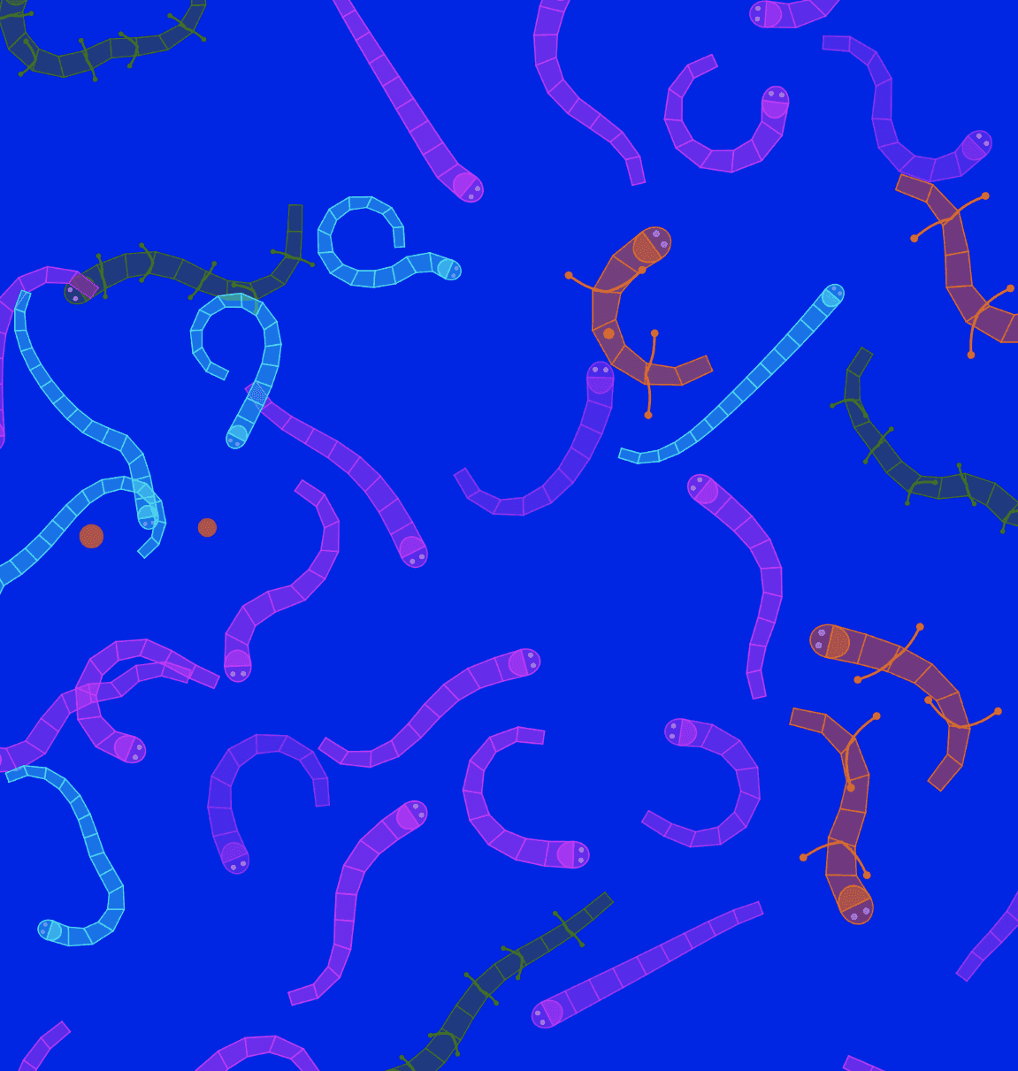 A Pond