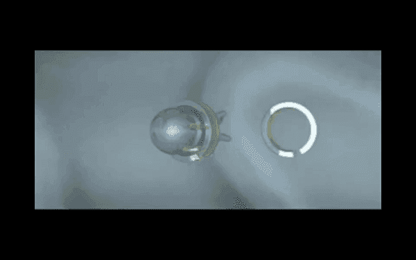LightWave 3D animation