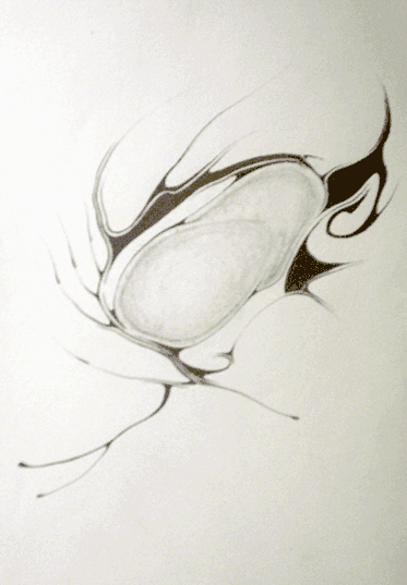 The Sluid Sketches